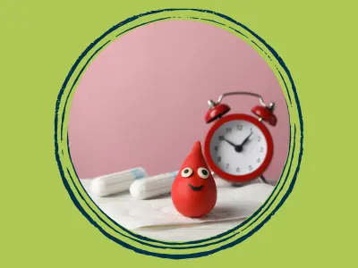 Dieta para Menopausa conduzida pelo Nutricionista Dieta para Menopausa conduzida pelo Nutricionista
