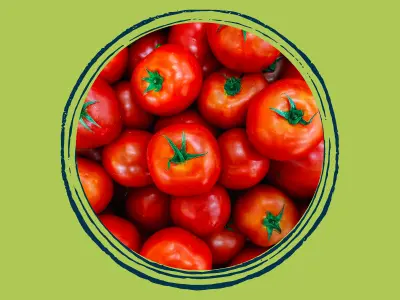 Extração de Vesícula e a alimentação Extração de Vesícula e a alimentação