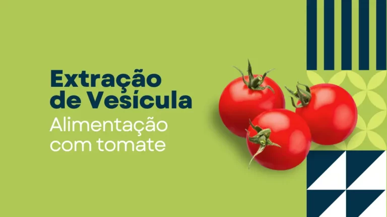 Quem tirou a vesícula pode comer tomate? Descubra aqui